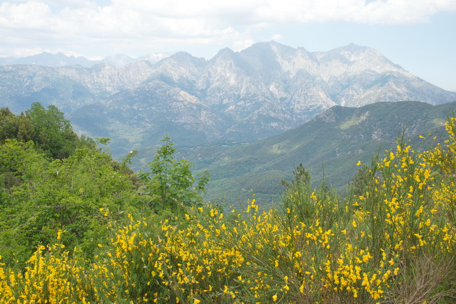 Korsika – Meeresbrise und Bergluft